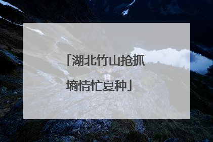 湖北竹山抢抓墒情忙夏种